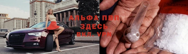прущие грибы Алзамай