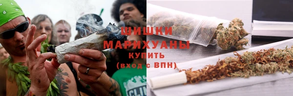 прущие грибы Алзамай