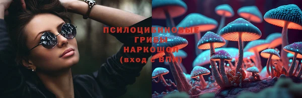 прущие грибы Алзамай
