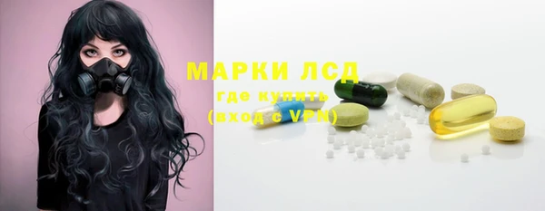 прущие грибы Алзамай