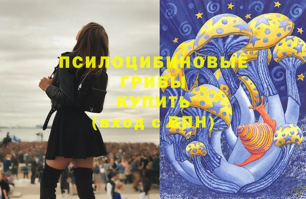 прущие грибы Алзамай