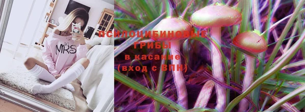прущие крисы Алексин
