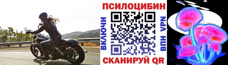Псилоцибиновые грибы Magic Shrooms  blacksprut онион  Ступино 