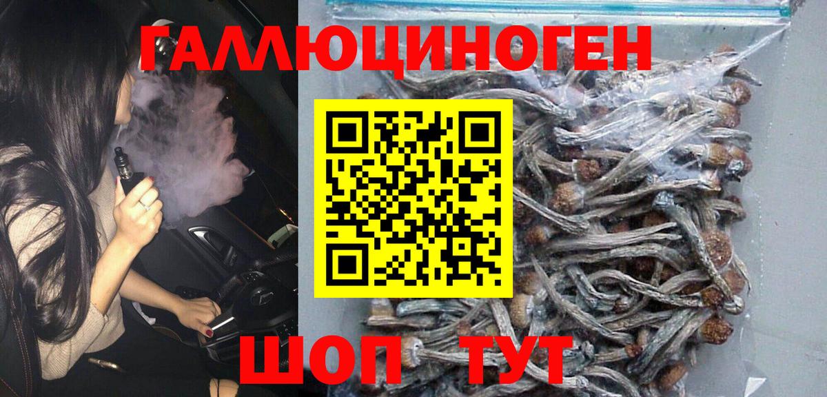 Ступино  Галлюциногенные грибы Psilocybine cubensis  Вход с VPN 
