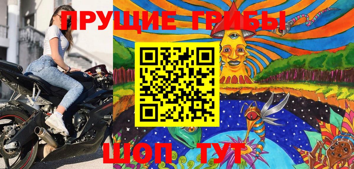 Псилоцибиновые грибы Cubensis Ступино